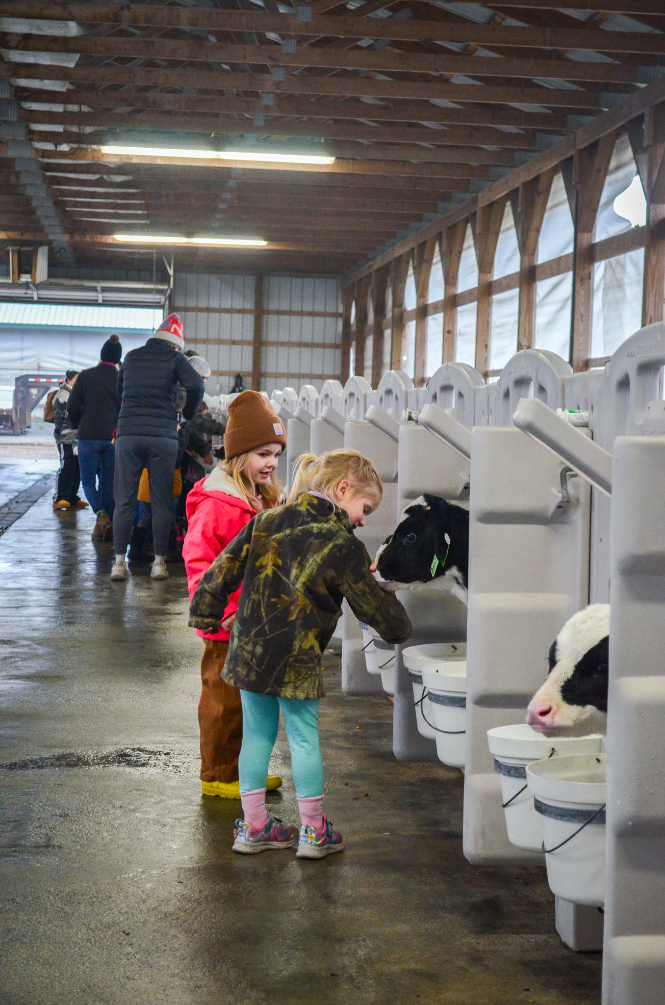 Kids at the farm